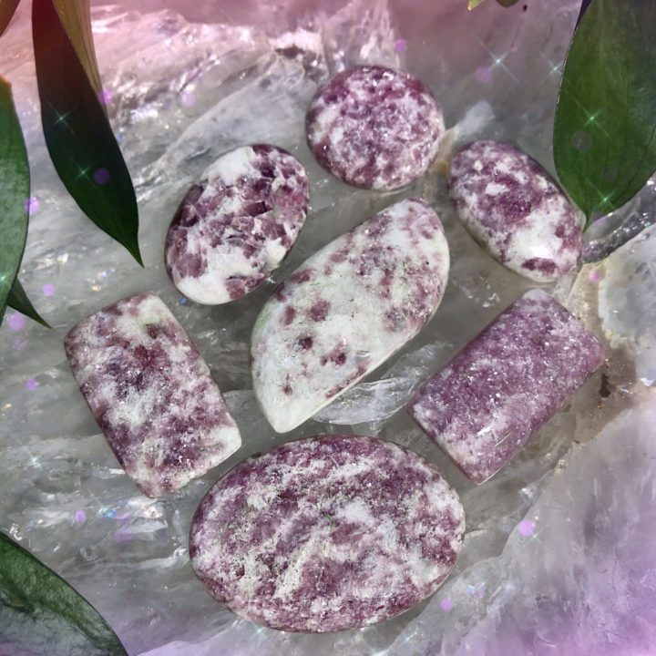 No Worries Lepidolite Cabochons