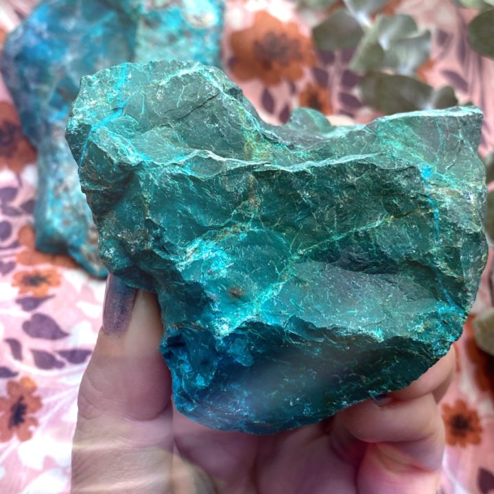 Chrysocolla Divine Feminine Healing Specimens