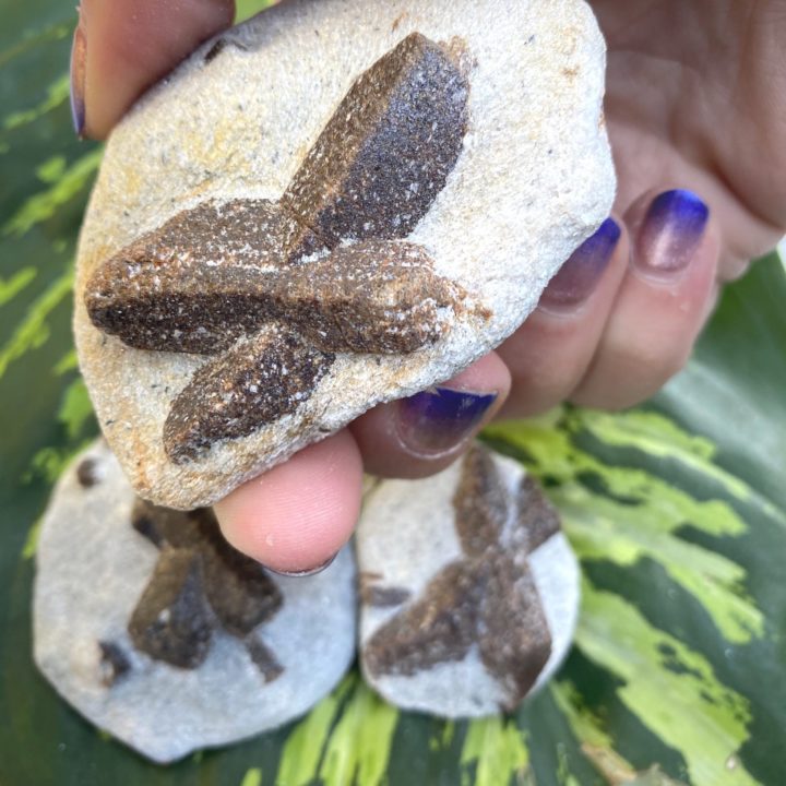 Staurolite Faerie Crosses