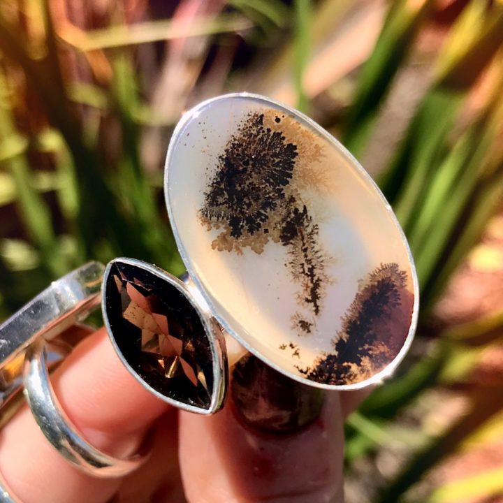 Dendritic Agate and Smoky Quartz Quarantine Positive Growth Rings