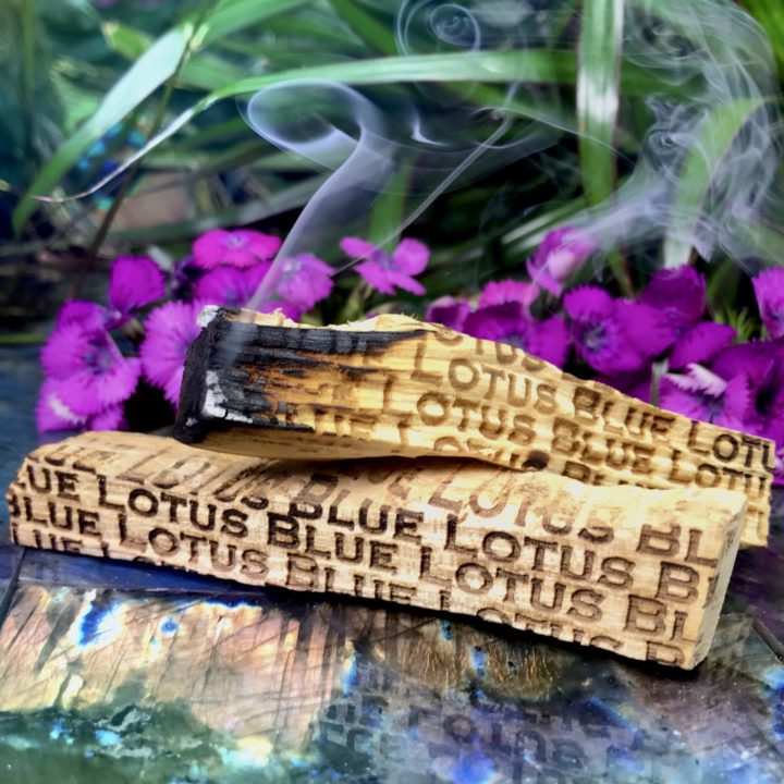 Blue Lotus Infused Palo Santo