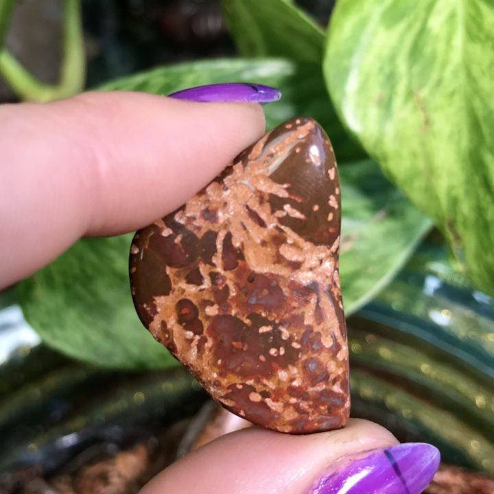 tumbled starry jasper