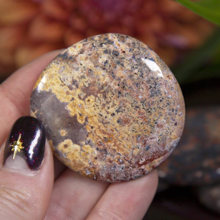 Leopardskin Jasper Channeling Palm Stones