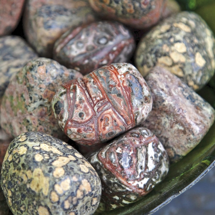 Tumbled Leopardskin Jasper