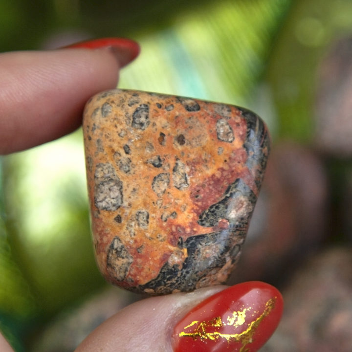 Tumbled Leopardskin Jasper