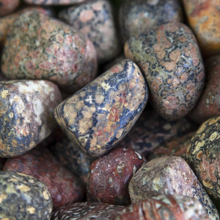 Tumbled Leopardskin Jasper