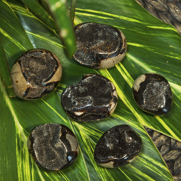 Druzy Septarian Meditation Stones