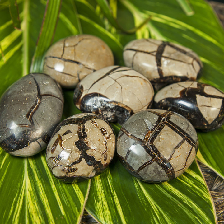 Druzy Septarian Meditation Stones