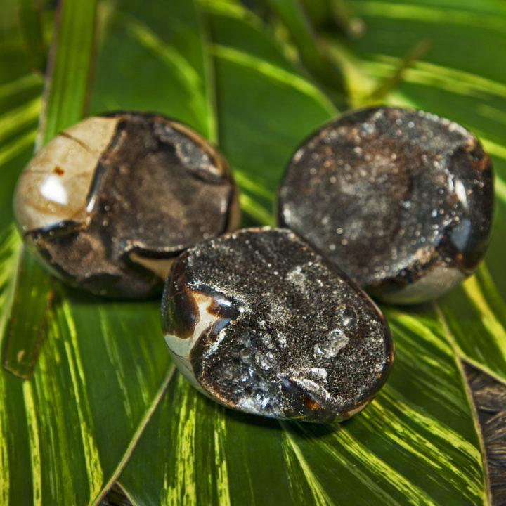 Druzy Septarian Meditation Stones