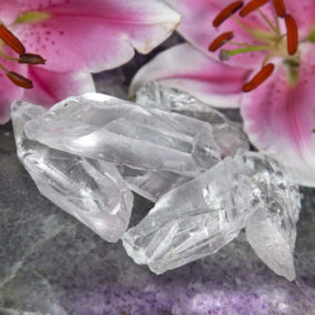 Lemurian Root Crystals