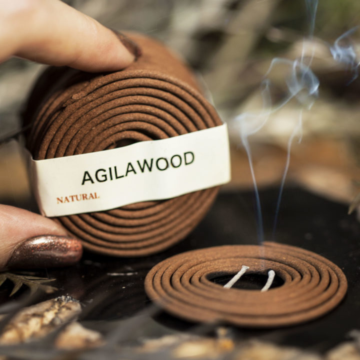 Oud Coil Incense