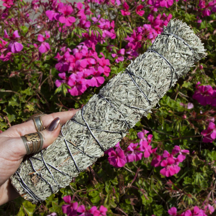 Large Shasta Sage Smudge Bundles