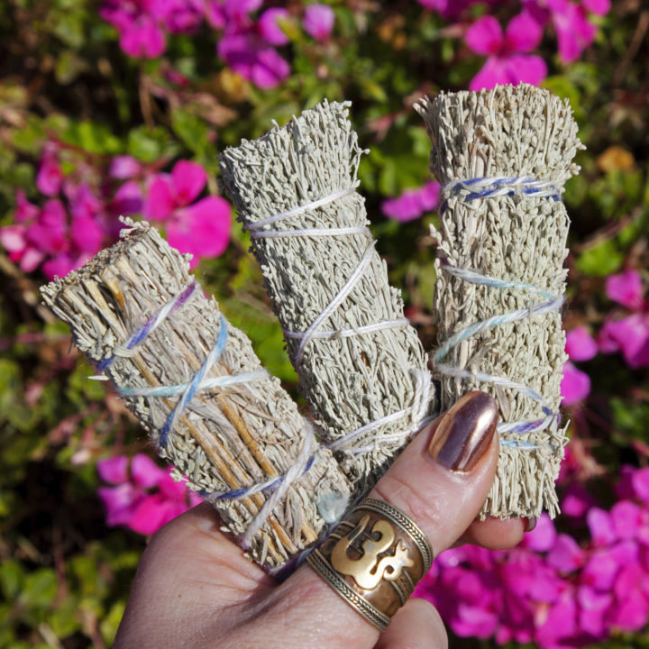 Mini Shasta Sage Smudge Bundles