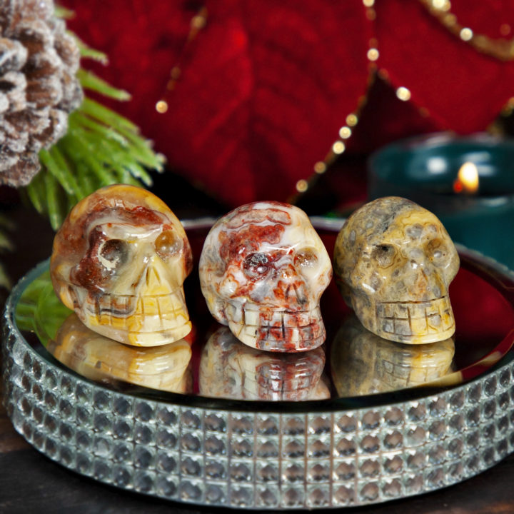 Crazy Lace Agate Skull