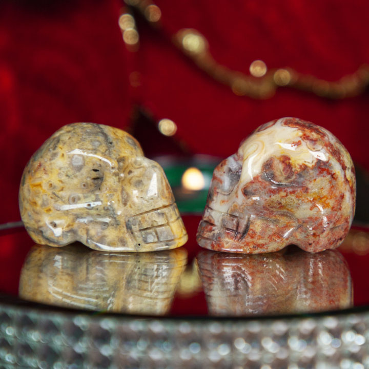 Crazy Lace Agate Skull