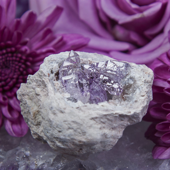 Ultimate Peace Vera Cruz Amethyst Geodes