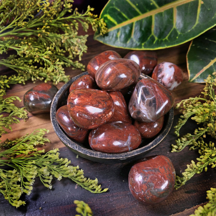 Medium Tumbled Red Petrified Wood