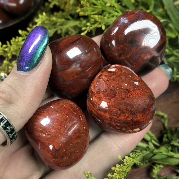 Medium Tumbled Red Petrified Wood