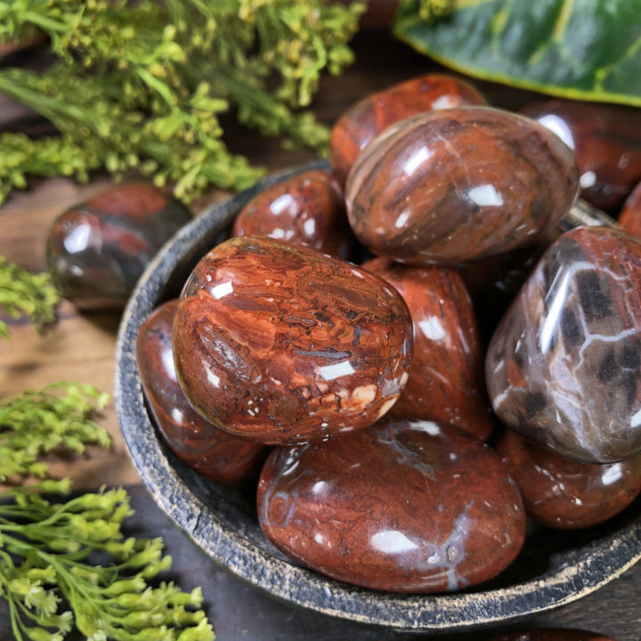 Medium Tumbled Red Petrified Wood