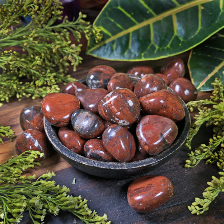 Small Tumbled Red Petrified Wood