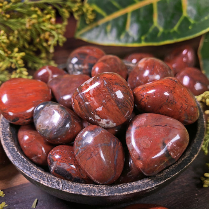 Small Tumbled Red Petrified Wood