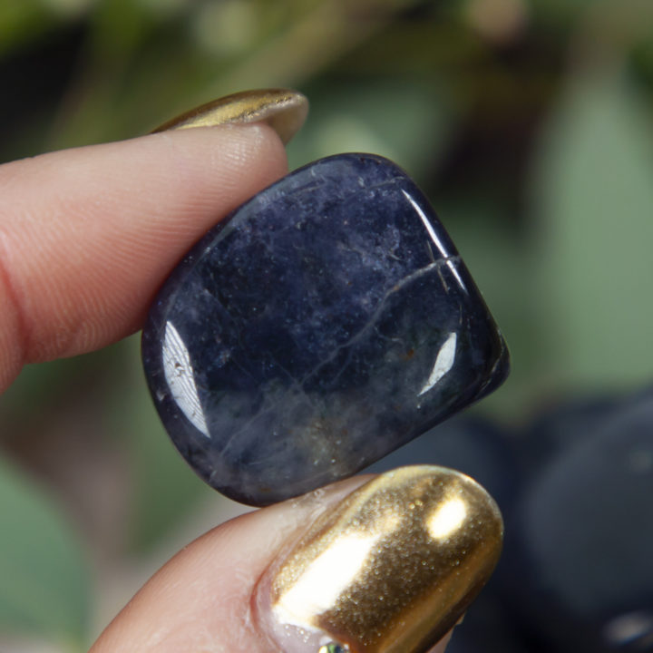 Medium Tumbled Iolite