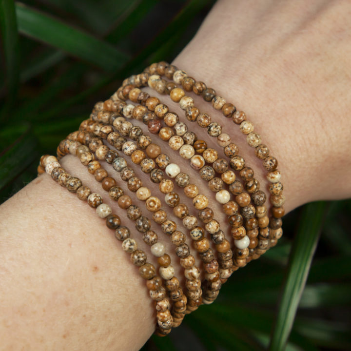 Picture Jasper Possibility Bracelet