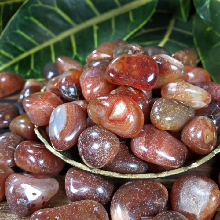 Red Agate: Medium Tumbled