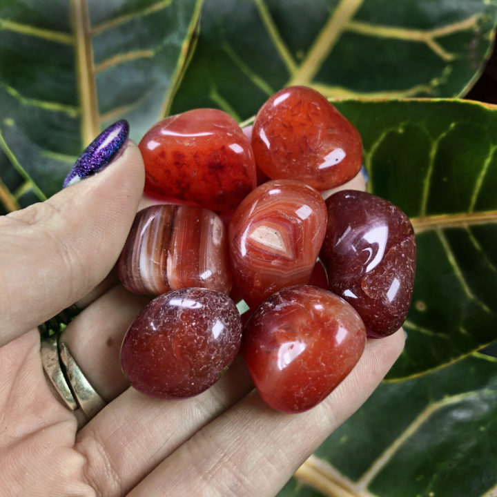 Red Agate: Medium Tumbled