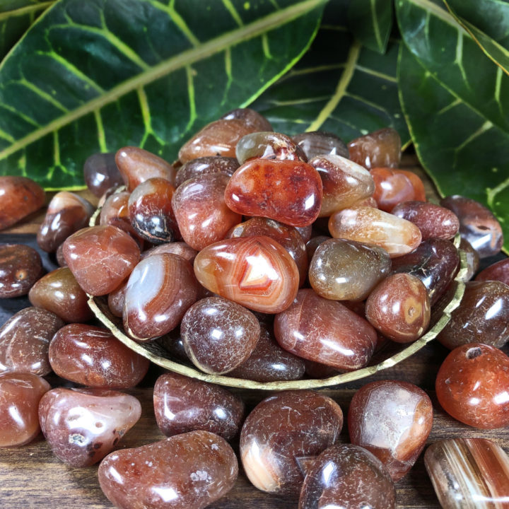 Red Agate: Medium Tumbled