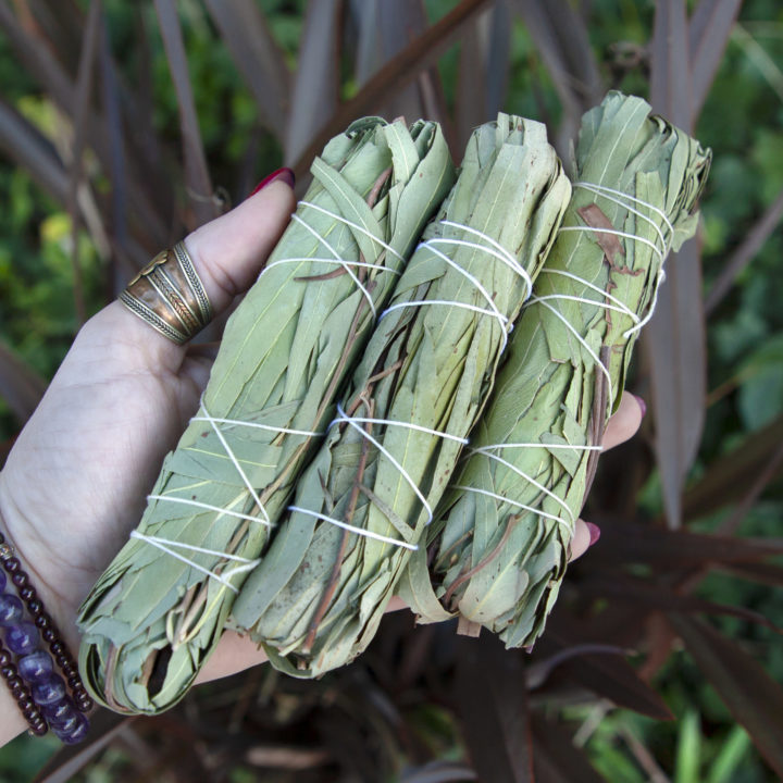 Eucalyptus Smudge Bundle