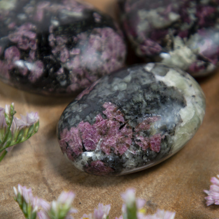 Eudialyte Trauma Release Palm Stone