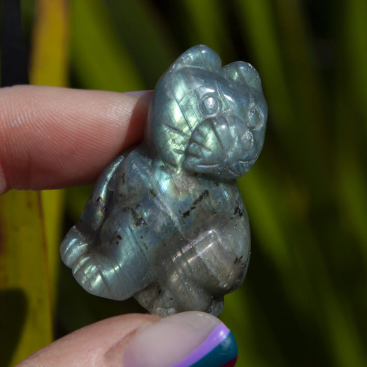 Labradorite Pocket Cat