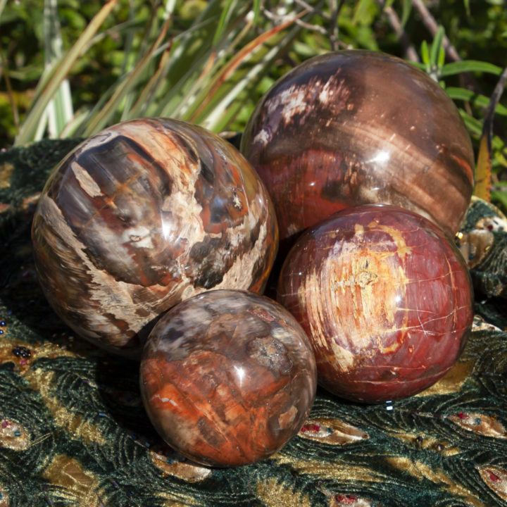 Petrified Wood Ancient Wisdom Sphere