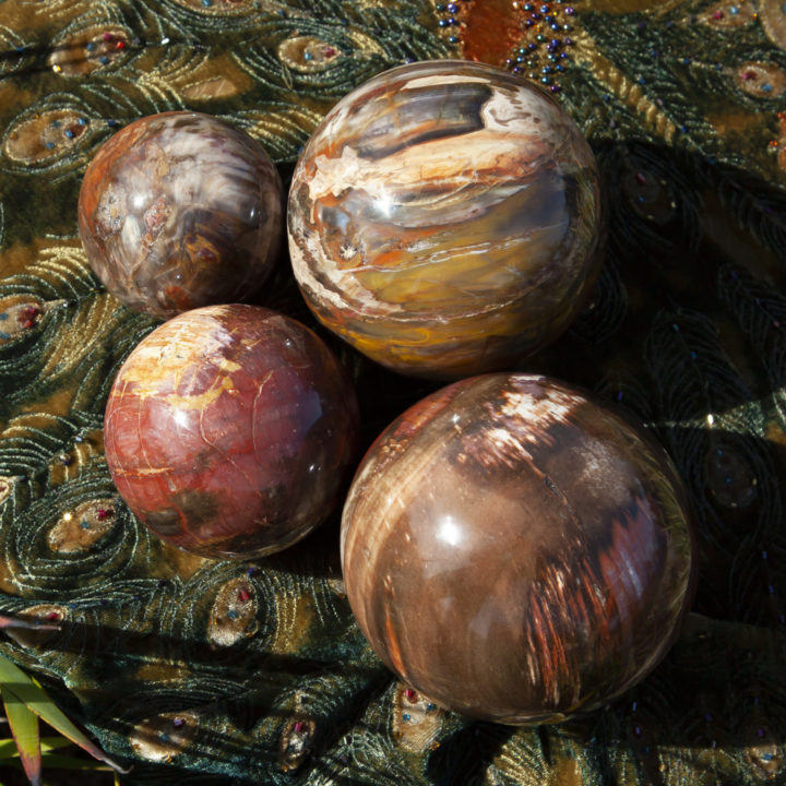 Petrified Wood Ancient Wisdom Sphere