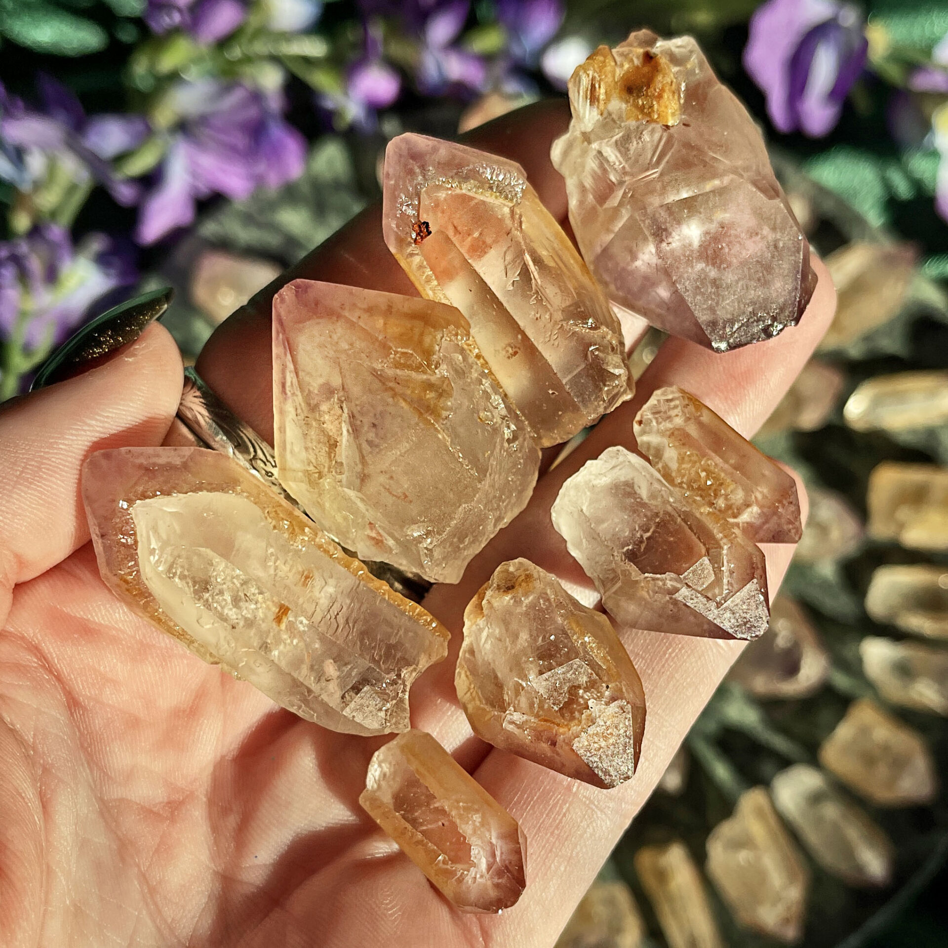 Partial Elestial Scepter Amethyst Overgrowth Point