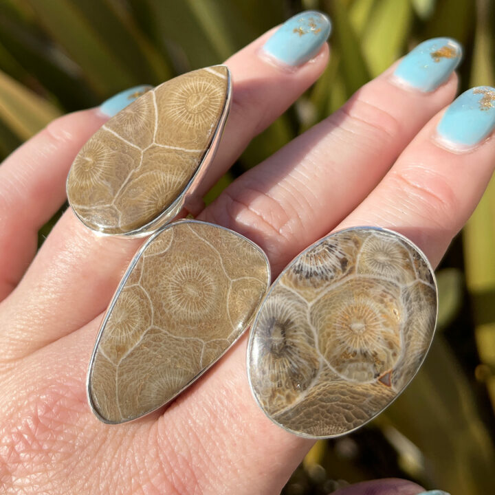 Fossilized Coral Adjustable Ring