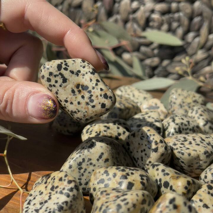 Tumbled Dalmatian Jasper