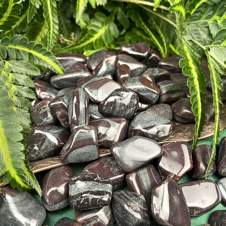 Medium Tumbled Ancestralite