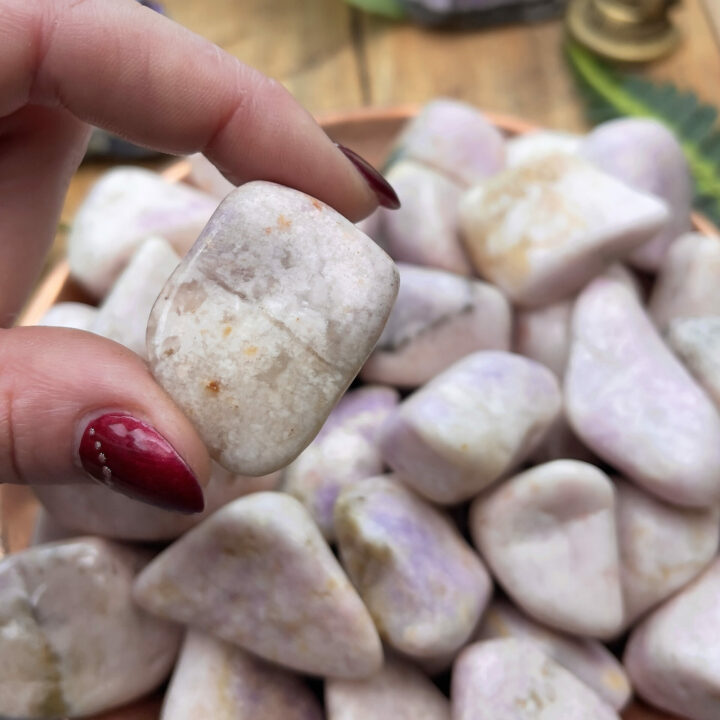 Tumbled Prairie Tanzanite