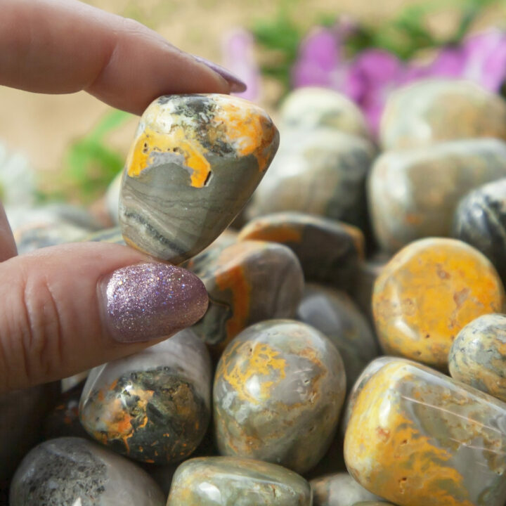 Tumbled Bumblebee Jasper