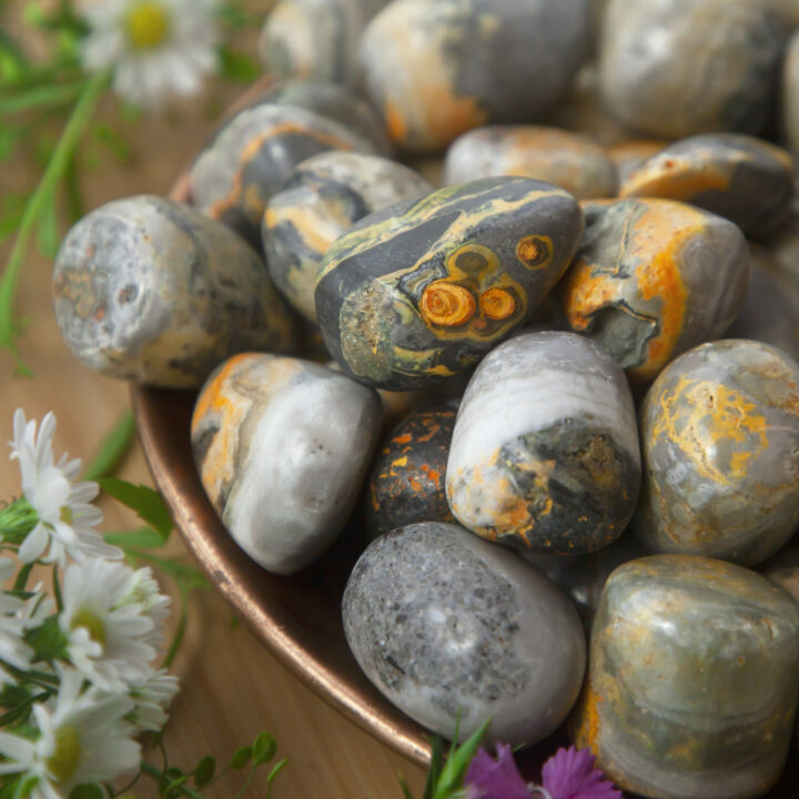 Tumbled Bumblebee Jasper