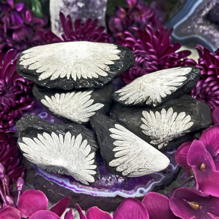 Natural Chrysanthemum Stone