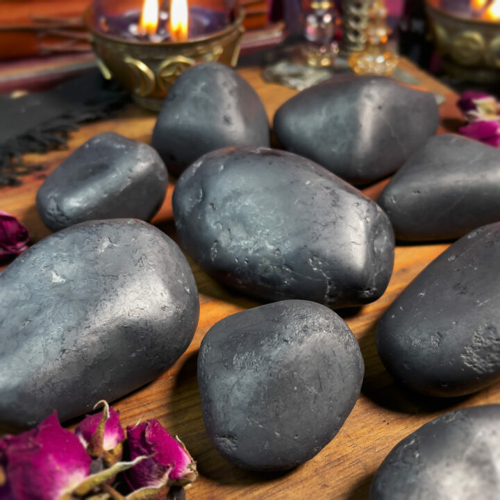 Shungite Purification Power Stone